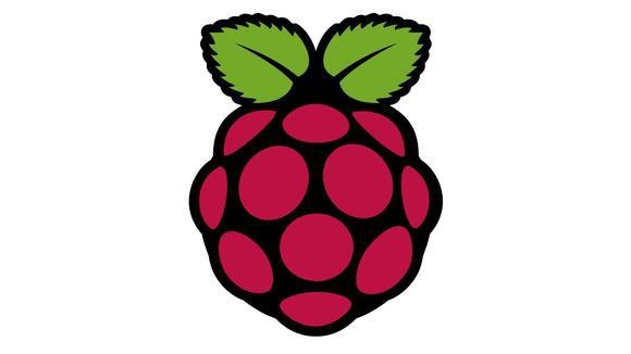 Raspberry Pi Emblem